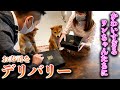 福ちゃん富くんに差し入れをデリバリーした