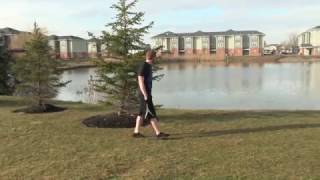 Project Assignment #2 By Dane DiMaria and Jacob Collins