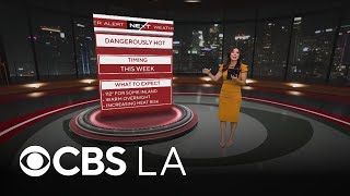 Match Highlights Amber Lee’s NEXT Weather forecast