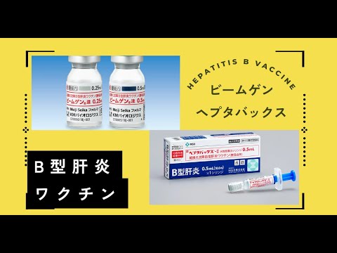 B型肝炎ワクチン｜ヘプタバックス／ビームゲンの効果・副反応・接種時期