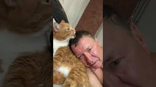 Лечение выпадения волос, дорого😂 #cat #видосыоткота #funny