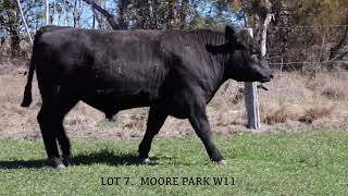 Lot 7 Moore Park W11 MPL25W11
