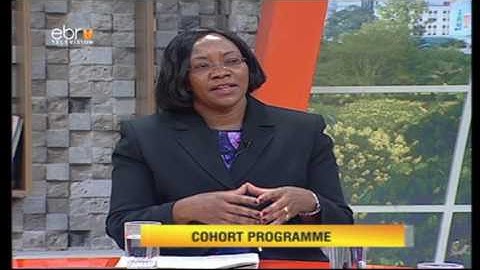 What is a Cohort Program