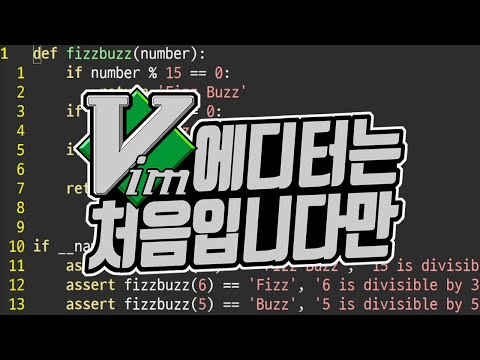 #18 vimrc 설정하기 | <strong>Vim</strong> 에디터는 처음입니다만 | <strong>Vim</strong> 강좌 | 김왼손의 왼손코딩
