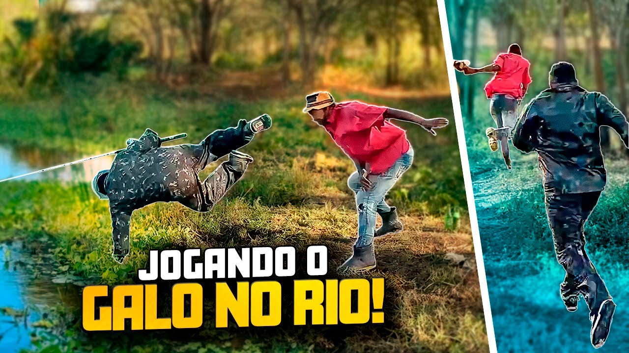 BETO TIZIU JOGOU GALO CEGO DENTRO DO RIO 🤣🤣 | GALO CEGO