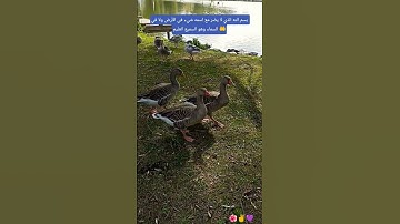 لا تغفل او تنسى أذكار الصباح والمساء 👂👂#صلوا_على_النبي #اكسبلورر
