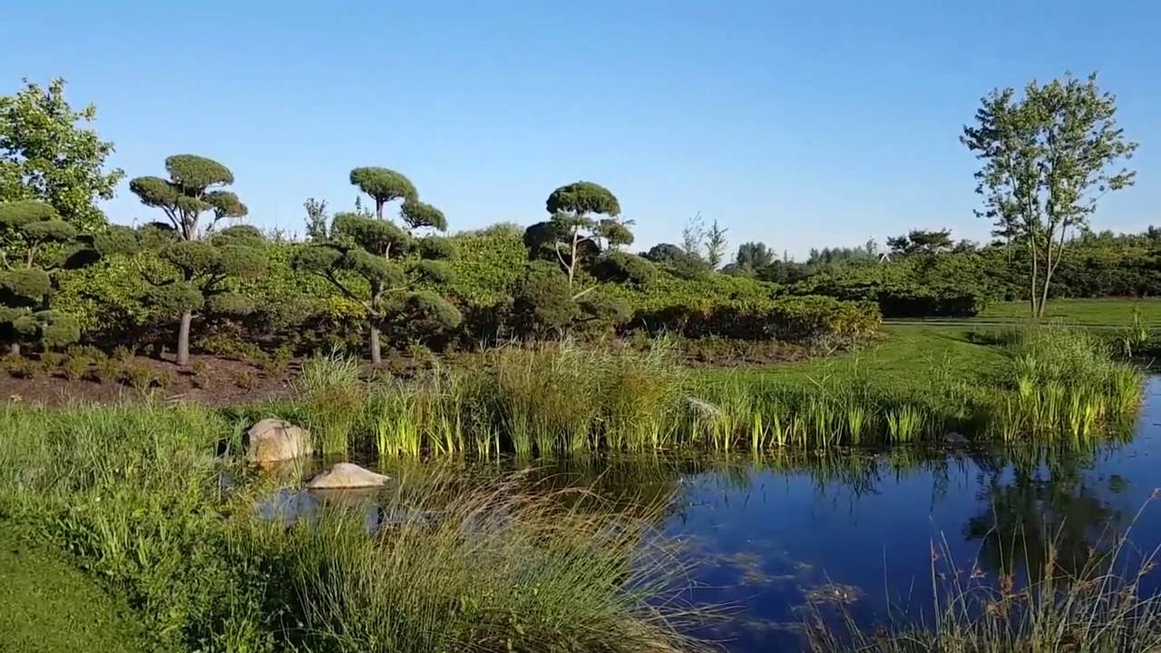 Максима парк