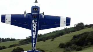 AeroWorks Extra 260 42%
