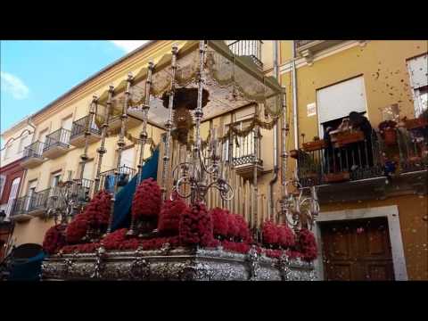 Antigua, Venerable Hermandad y Cofradía de Nazarenos de Nuestro Padre Jesús de la Soledad, Negaciones y Lágrimas de San Pedro, María Santísima del Dulce Nombre y San Francisco de Asís