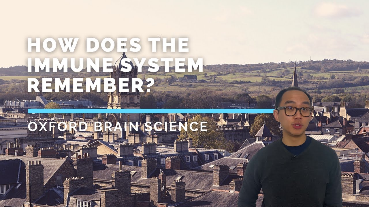 How does the immune system remember?