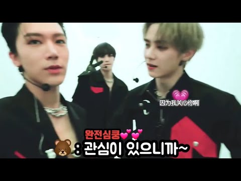 Wayv 뚜이장의 다정한 순간 : 관심이 있으니까
