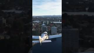 Flight simulator