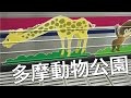 【東京旅行】多摩動物公園行ってきた の動画、YouTube動画。