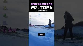 역대급 겨울 동물 모먼트 랭킹 Top6