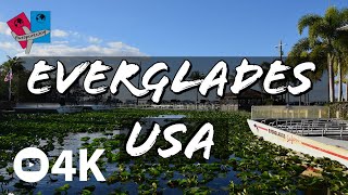 Visiting the Everglades + Airboat Ride in December