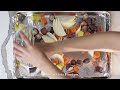 Sheet Pan Roasted Chicken and Vegetables