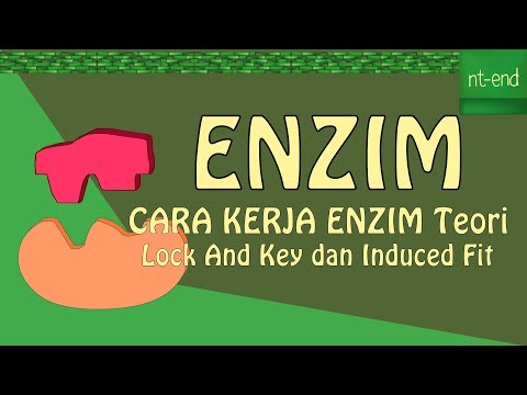 Materi Pelajaran Metabolisme-Kelas XII-Semester I