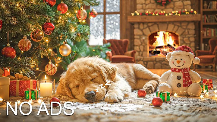 24 HOURS of Deep Sleep Dog Calming Music🐶🎵Anti Separation Anxiety Relief Music🎵Dog Music#dogmusic