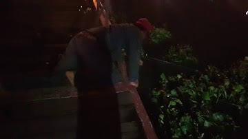 CÂU CÁ TRÊ SÔNG SÀI GÒN (FISHING  FLATHEAD CATFISH - SAIGON RIVER)