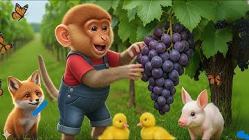 🐒🚜 Baby Monkey Drives Tractor to Find Lost Duck: Funny Vineyard Adventure
