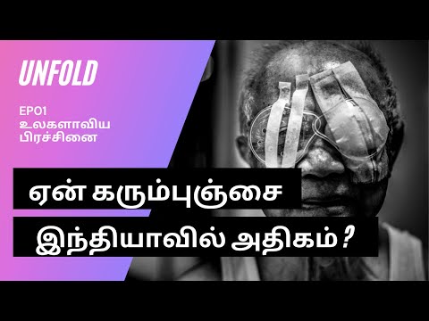 ஏன் கரும்புஞ்சை இந்தியாவில் அதிகம் ? | அன்போல்டு |  கோவிட் 19 | Unfold