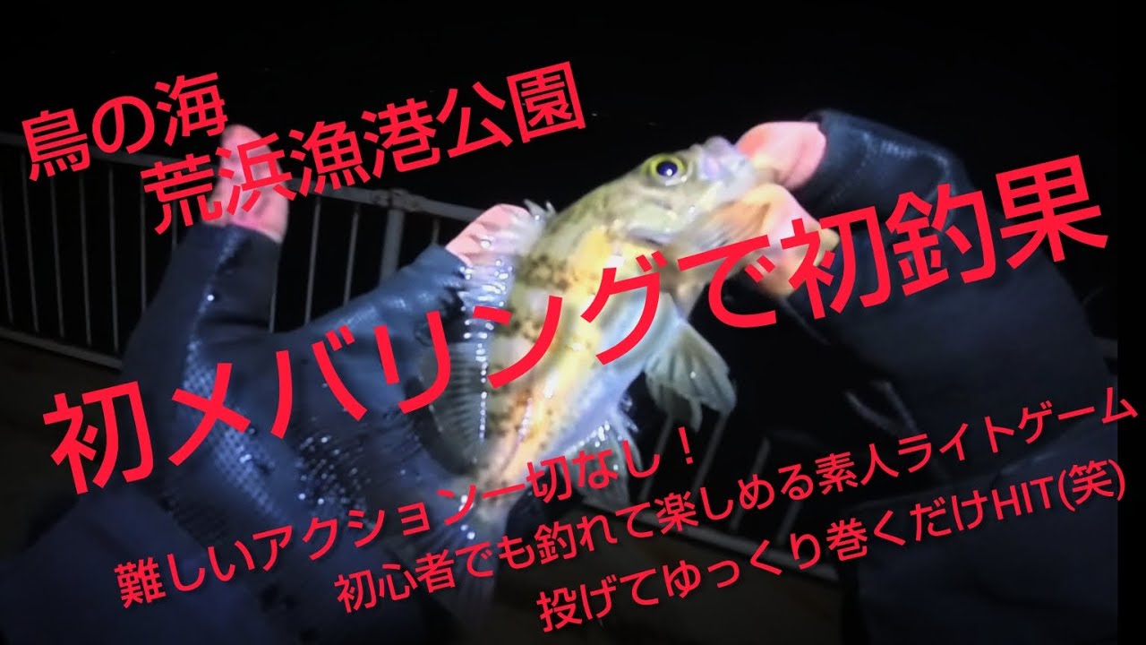 鳥の海で手軽にメバリング！