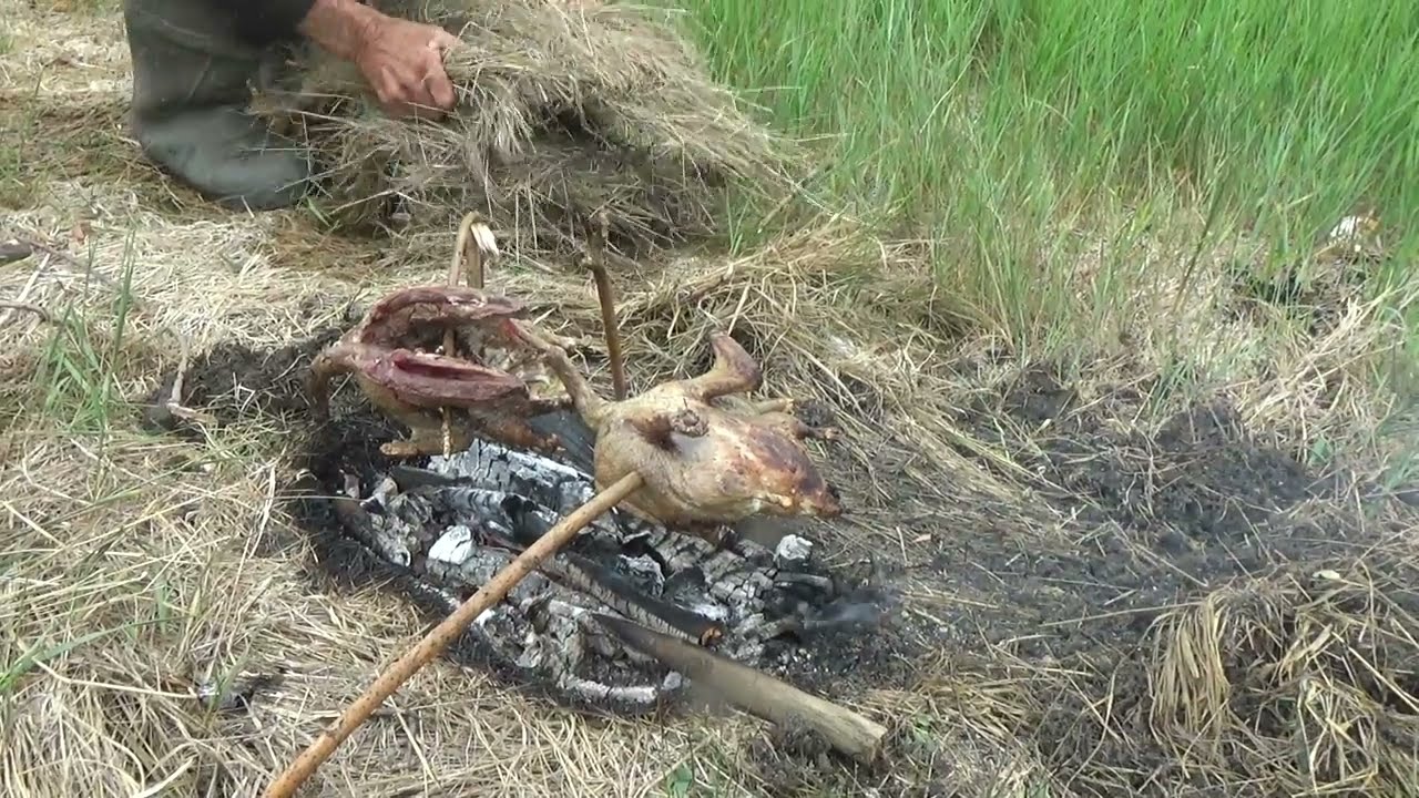 Жор у рыбы  или просто клёвая рыбалка.