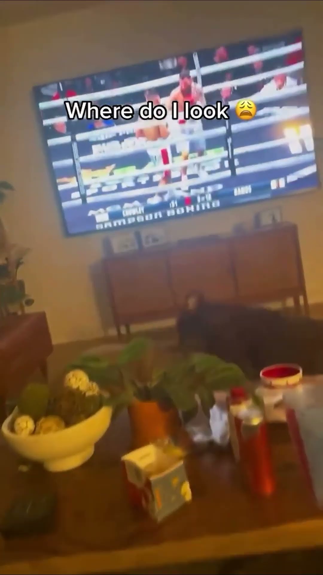 Best Fight of the Year