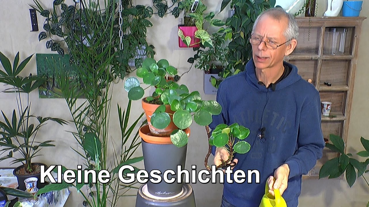 Pflanzenfilm mit kleinen Geschichten zum Staunen und Erleben mit Detlef