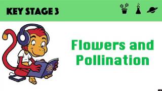 Flowers and Pollination
