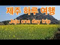제주 하루여행(산방산,용두암 해변).Jeju one-day trip (Sanbangsan Mountain, Yongduam Beach).