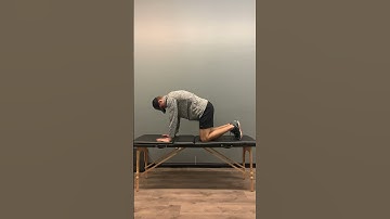 Quadruped hover in thoracic flexion