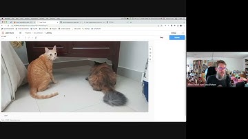 Data Annotation and Labeling MLOps with ZenML and Label Studio: ZenML Meet The Community 27/07/22