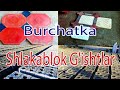 SHLAKABILOG G'ISHTLAR,  BURUCHATKA NARXLARI 20.06.2020 HOLAT