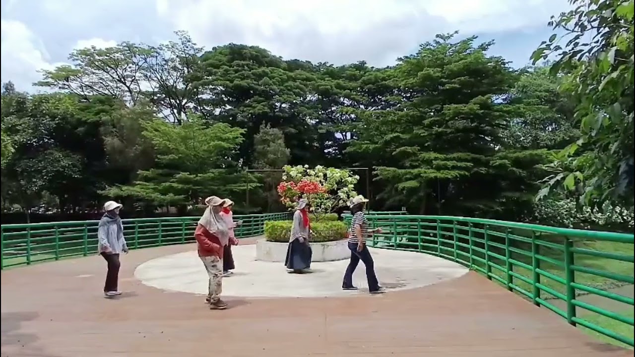 Fast Cars and Superstars Line Dance