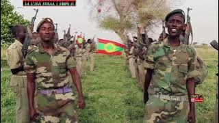 New Oromo music 2025 Ejersoo fi Dittaa  Maal jedhe Wbon Hawwisoo Abo Wbo