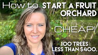 Download Lagu How to Start a Fruit Orchard CHEAP! MP3