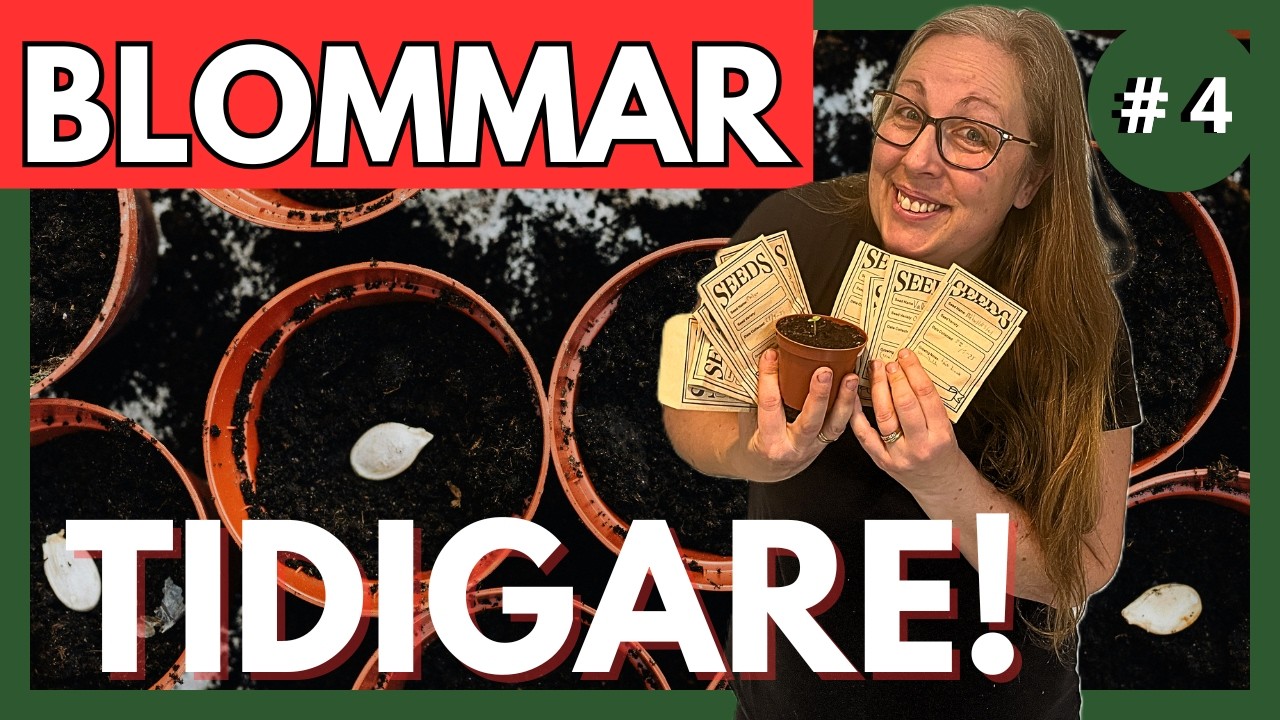 Förså blommor NU – så får du sommarens TIDIGASTE blomning 🌸