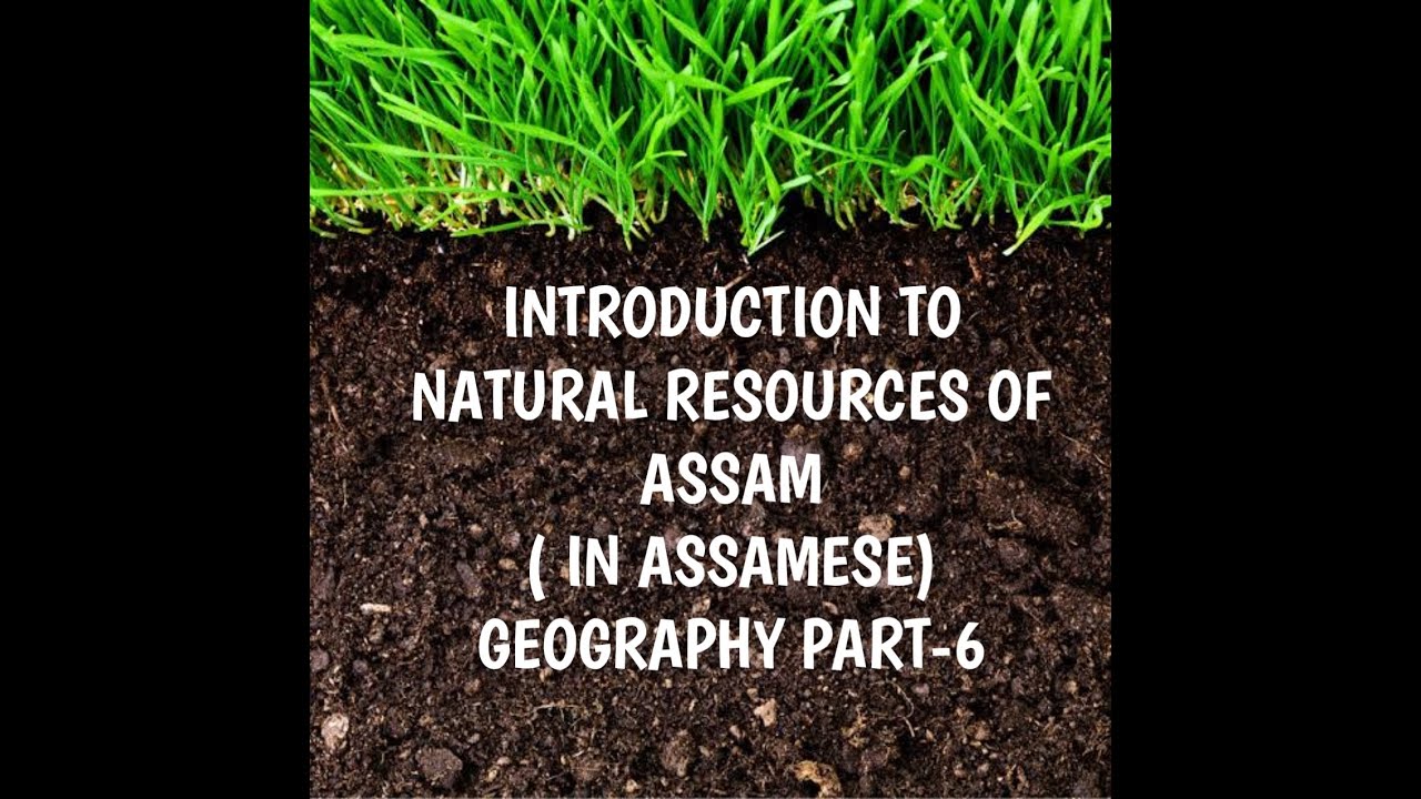 essay on natural resources of assam