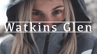 New York in Winter - Watkins Glen