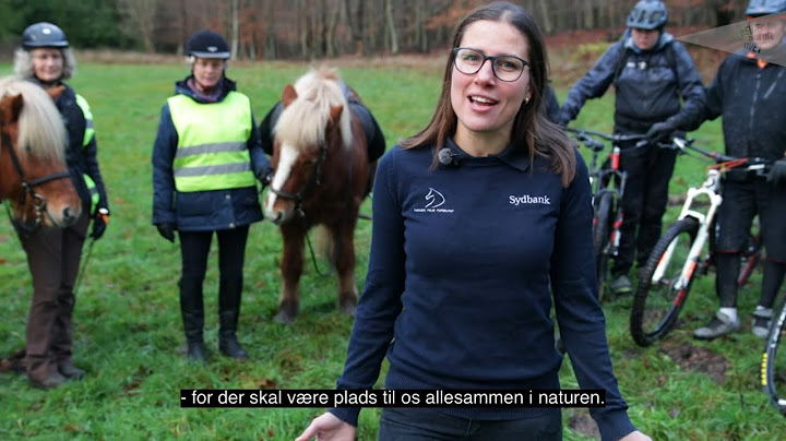 Heste og mountainbikes i skoven? Der er plads til os alle!