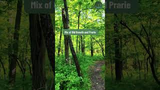 Tick Season Is Real — Don't Skip These Steps | Ohio Hiking #hiking #backpacking