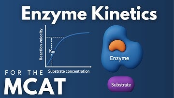 MCAT Enzyme Kinetics Explained in 4 Minutes