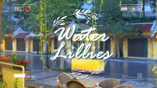 👝 Water Lillies # Everyday Chillout: Soft Ambient Melodies 🎤 # Track 21 screenshot 4