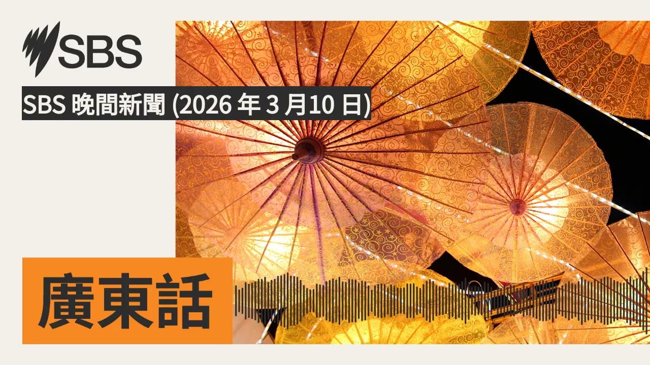 SBS 晚間新聞 (2026 年 3 月10 日) | SBS Cantonese - SBS廣東話節目