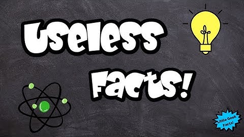 Bitesize Useless Facts That Everyone Should Know in Under 5 Minutes