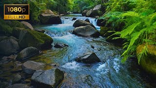 Beautiful river sounds, calming forest sounds  Beautiful River Sounds