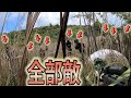 【サバゲー】敵拠点の裏取りをした結果　国東バトル