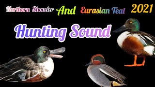 Northern Shoveler & Teal Duck Mix Sound// Teal Duck Hunting Mix Sound//