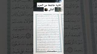 يستخفون من الناس ولا يستخفون من الله | سورة النساء الشيخ علي جابر